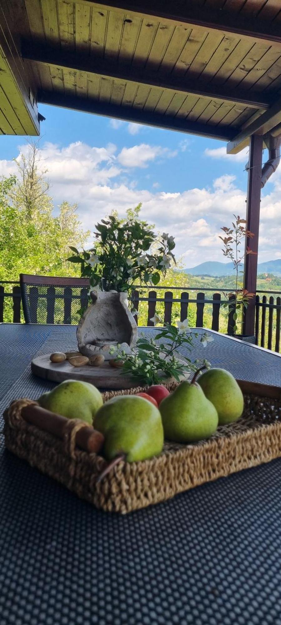 Relax House Lara In Krapinske Toplice Luaran gambar
